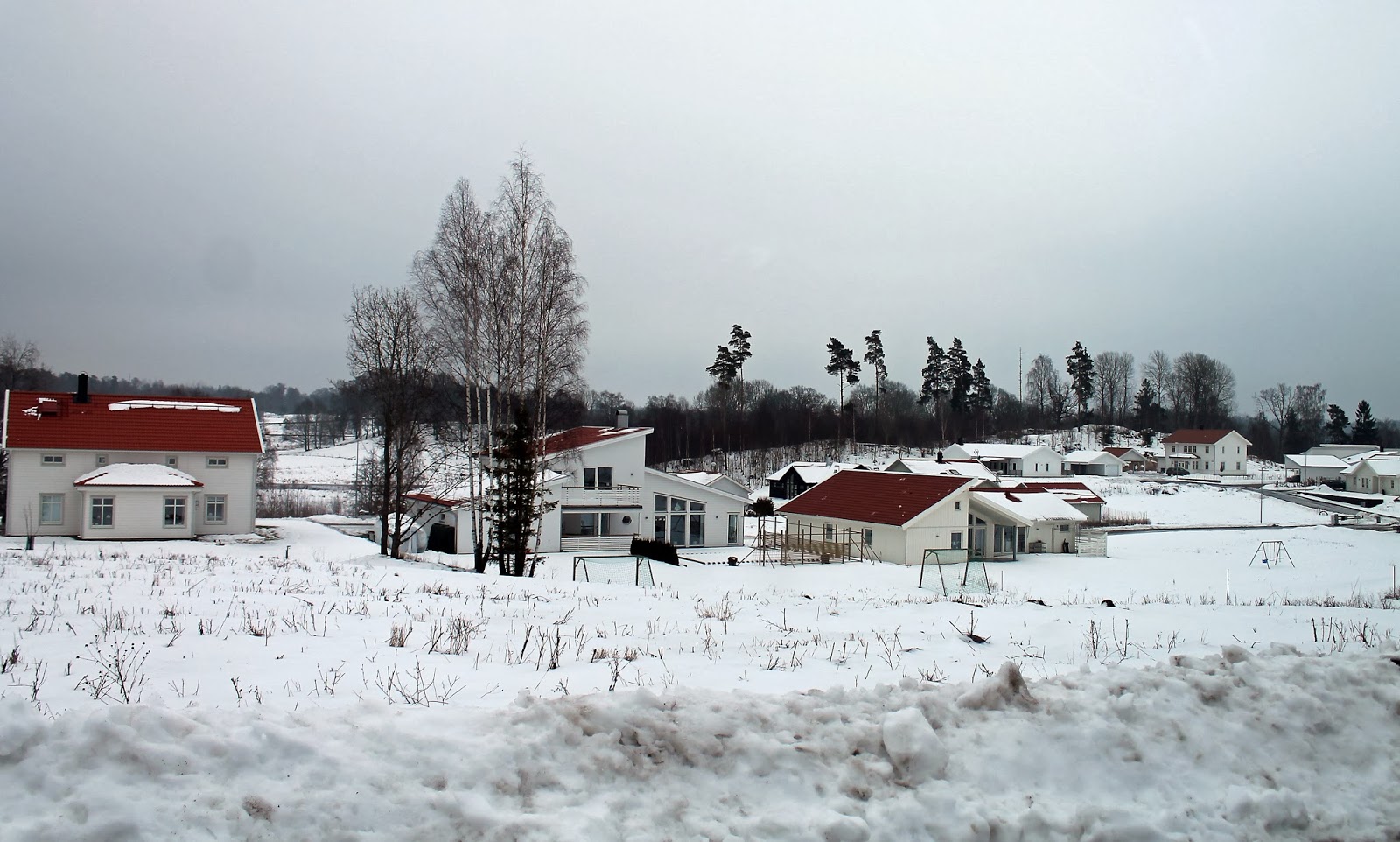 Singlar bild